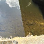 thumb_IMG_1530_1024