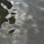 thumb_IMG_1541_1024