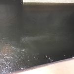 thumb_IMG_1611_1024