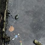 thumb_IMG_1686_1024