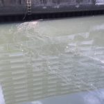 thumb_IMG_1832_1024