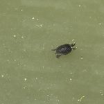 thumb_IMG_1833_1024