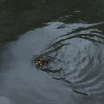 thumb_IMG_1859_1024