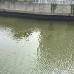 img_2575
