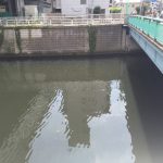 thumb_img_2229_1024