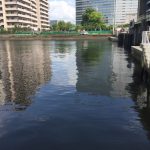 thumb_img_2245_1024