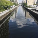 thumb_img_2291_1024