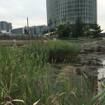 thumb_img_2365_1024