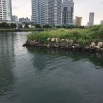 thumb_img_2372_1024