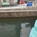 thumb_img_2518_1024