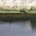 img_3064