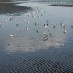 img_3472