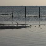 img_3479