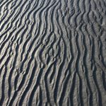 img_3482