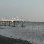 img_3506