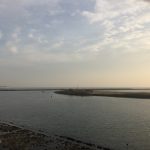 img_4220