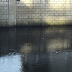 img_4292