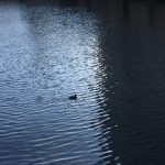 img_4314