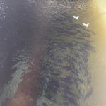 img_4349